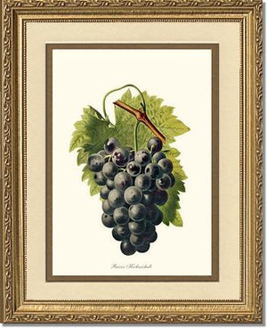 Grape, Kechmishali | Vintage Redouté's Fruit Wall art print