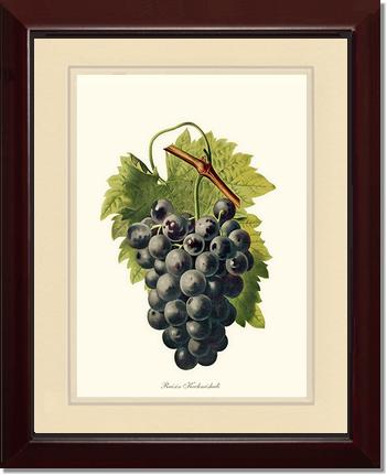 Grape, Kechmishali | Vintage Redouté's Fruit Wall art print