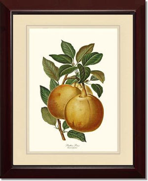 Pear, Butter