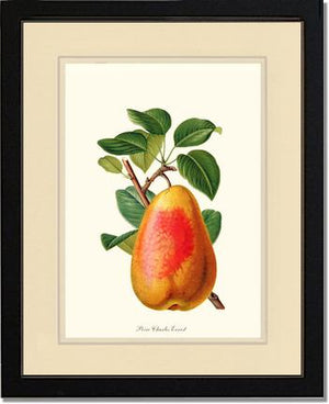 Pear, Charles Earnest