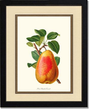 Pear, Charles Earnest