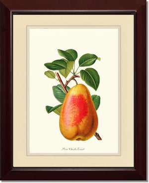 Pear, Charles Earnest