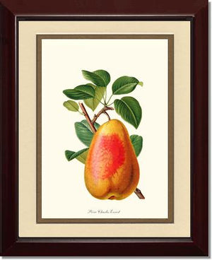 Pear, Charles Earnest