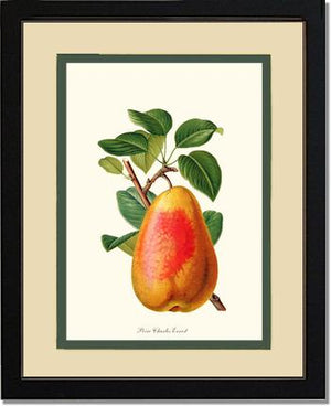 Pear, Charles Earnest