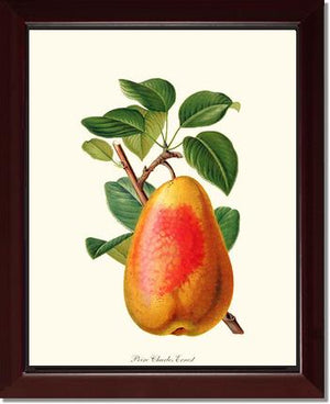 Pear, Charles Earnest