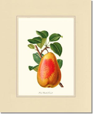 Pear, Charles Earnest