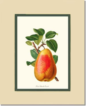 Pear, Charles Earnest