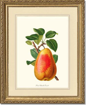 Pear, Charles Earnest