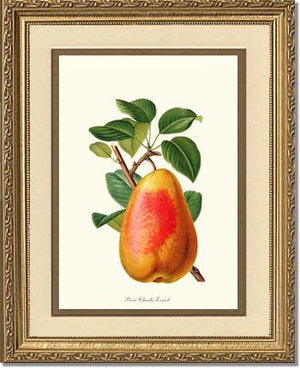 Pear, Charles Earnest