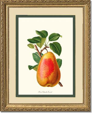 Pear, Charles Earnest