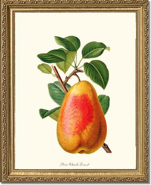 Pear, Charles Earnest