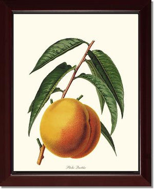 Peach, Quetier