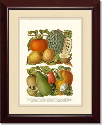 Tropical Fruit | Vintage Redouté's Fruit Art Print