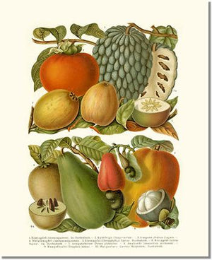 Fruit Print: Tropical Fruit