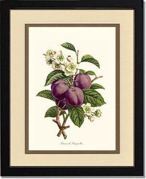 Plums