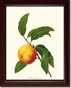 Peach