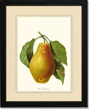 Pear
