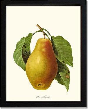Pear