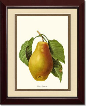 Pear