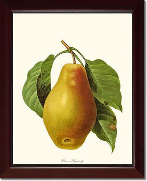 Pear
