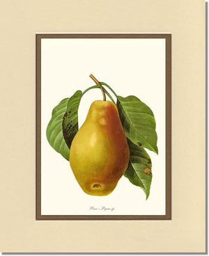 Pear