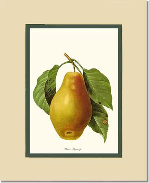 Pear