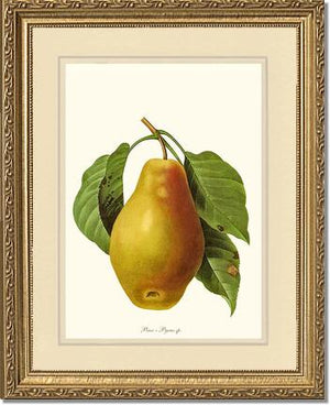 Pear