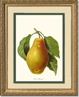 Pear