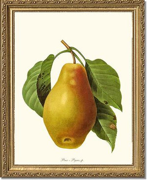 Pear