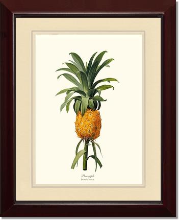 Pineapple | Vintage Redouté's Fruit Wall art print
