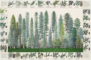 Tree Poster | Northwest Native Conifers