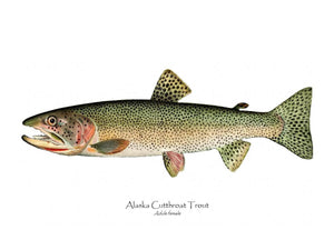 Antique Fish Print: Alaska Cutthroat