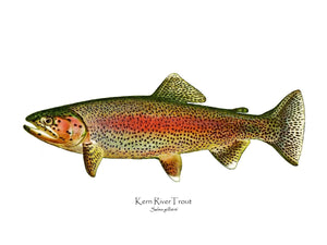 Antique Fish Print: Kern River Trout