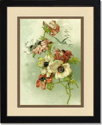 Victorian Print: Anemones | Victorian Wall Art Print
