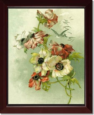 Victorian Print: Anemones