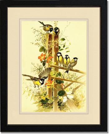 Victorian Print: Great Tits Parus major | Victorian Wall Art Print