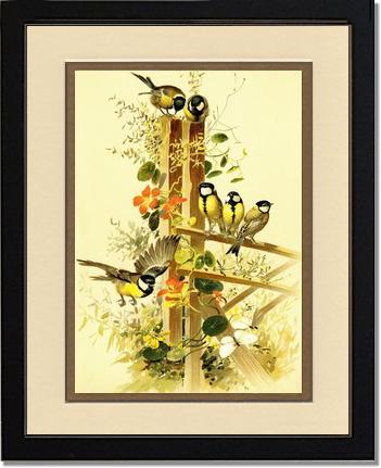 Victorian Print: Great Tits Parus major | Victorian Wall Art Print
