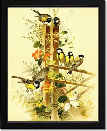Victorian Print: Great Tits Parus major | Victorian Wall Art Print