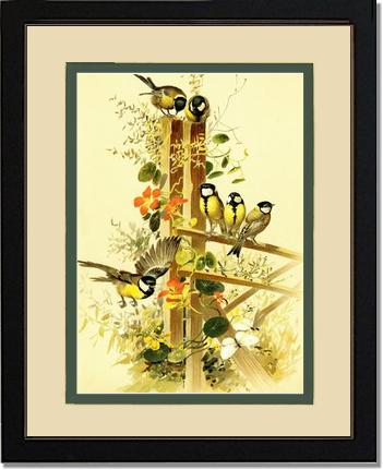 Victorian Print: Great Tits Parus major | Victorian Wall Art Print