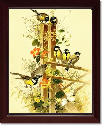 Victorian Print: Great Tits Parus major | Victorian Wall Art Print