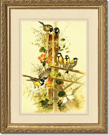 Victorian Print: Great Tits Parus major | Victorian Wall Art Print