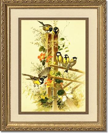 Victorian Print: Great Tits Parus major | Victorian Wall Art Print