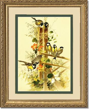 Victorian Print: Great Tits Parus major | Victorian Wall Art Print