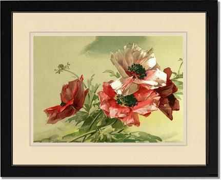 Poppies | Victorian Wall Art Print