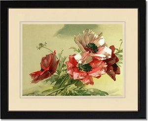 Poppies | Victorian Wall Art Print