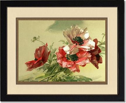 Poppies | Victorian Wall Art Print