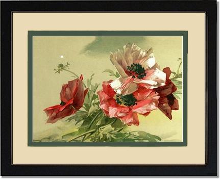 Poppies | Victorian Wall Art Print