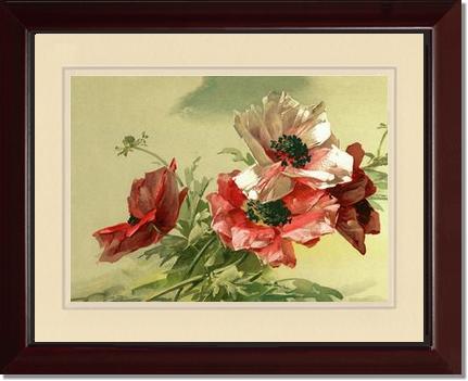 Poppies | Victorian Wall Art Print