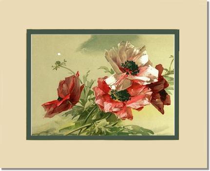 Poppies | Victorian Wall Art Print