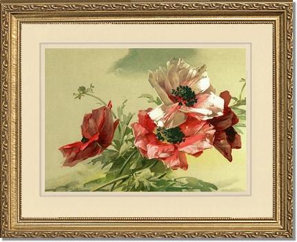 Poppies | Victorian Wall Art Print
